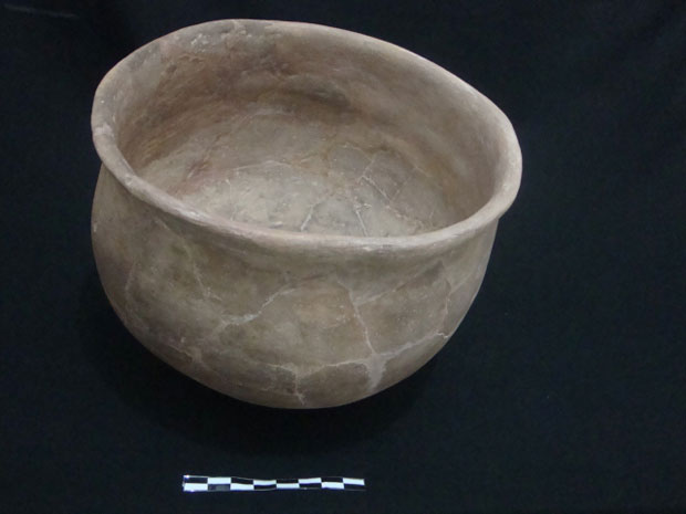 CCNM_foto_Décio (6).jpg