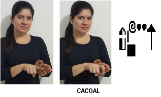 Município de Cacoal.jpg