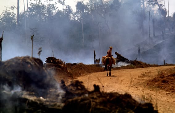 Queimada em Cerejeiras, Rondônia, 1981. Fotografia de Marcos Santilli©.jpg