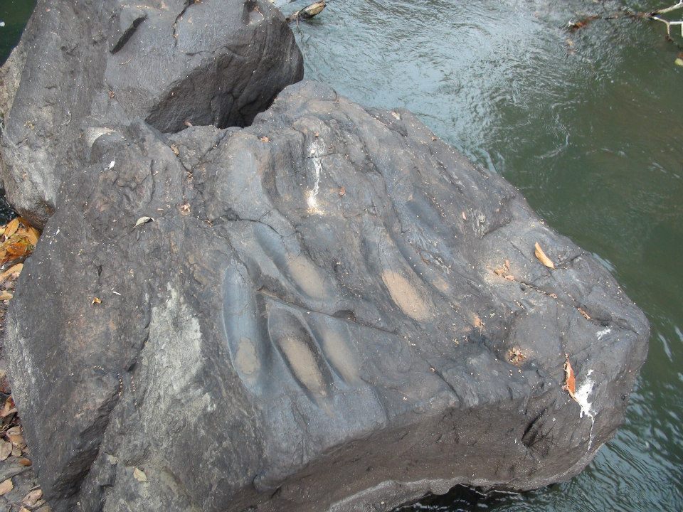 Foto Joaquim Cunha - oficina lítica - Rio Branco - Alto Algre dos Parecis.jpg