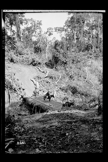 1028 - Estradas_de_Serviço_Aberta_para_a_Construção_da_Ferrovia_-_,_Acervo_do_Museu_Paulista_da_USP.jpg