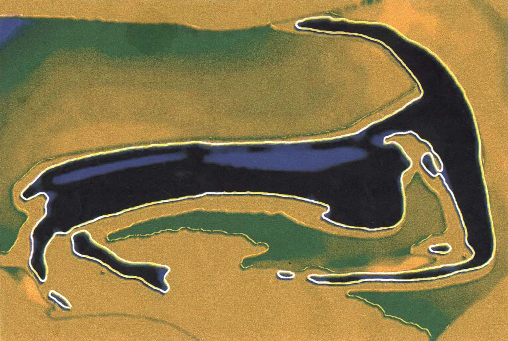 2000 -The Beast -acrílica s tela.jpg