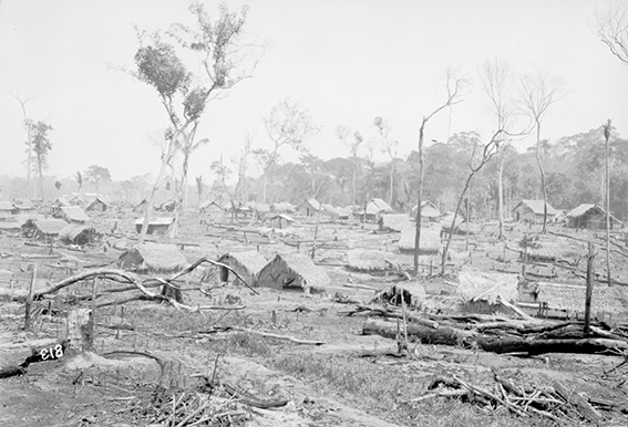 813 - Acampamento_em_Área_Devassada_da_Floresta_Amazônica_-_,_Acervo_do_Museu_Paulista_da_USP_(cropped).jpg