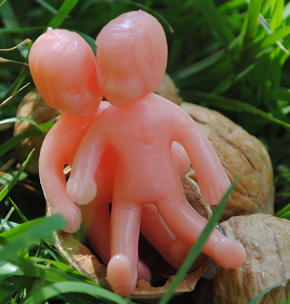 monoculos elisabete christofoletti (248).JPG