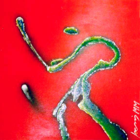 2000 - The Golf Player - graffiti s tela.jpg