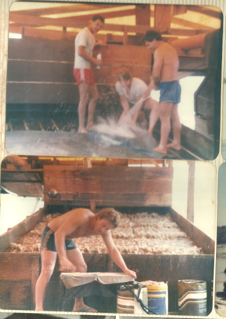 DESPESCAS E LAVANDO ROUPA.jpg