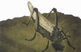 AAAAS01-  predador dois -  detalhe - 1978.jpg