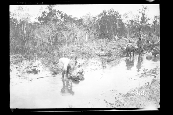 912 - Homens_em_Igarapé_-_,_Acervo_do_Museu_Paulista_da_USP.jpg