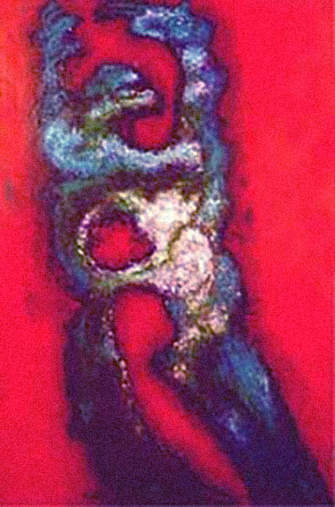 2000 - Selfportrait - graffiti s tela.jpg