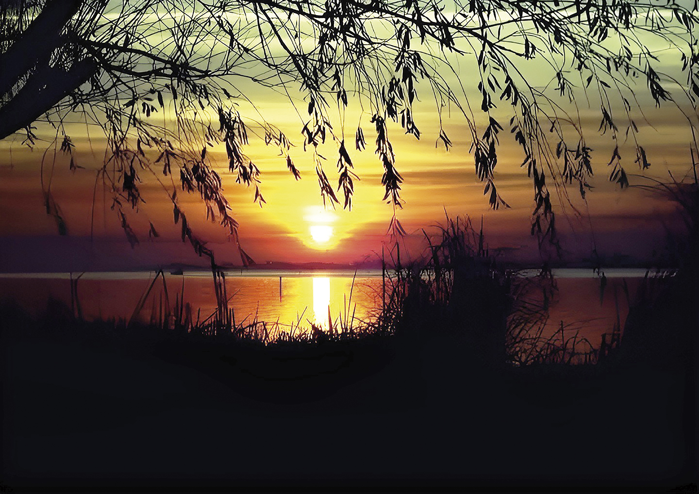 1741448474122_yirplf_2_0 - Renata Souza.jpg