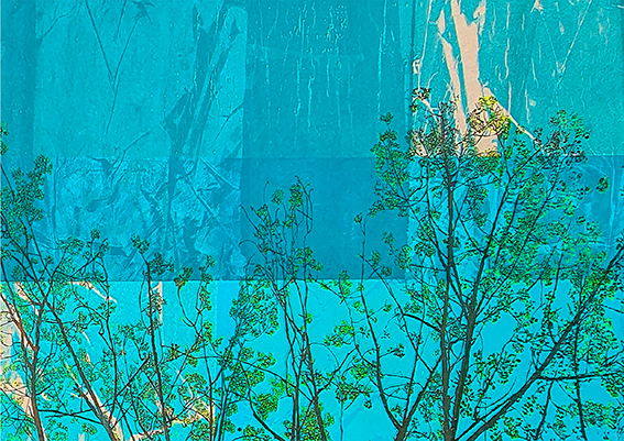 Chrysav_A new landscape  - chrys chrys2.jpg