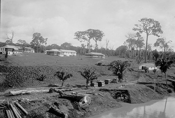 1256C - Conjunto_de_Residência_do_Hospital_Candelária_-_,_Acervo_do_Museu_Paulista_da_USP_(cropped).jpg