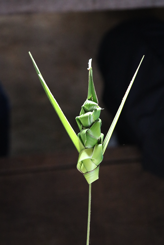 Nilson Santos (2018)_51.png