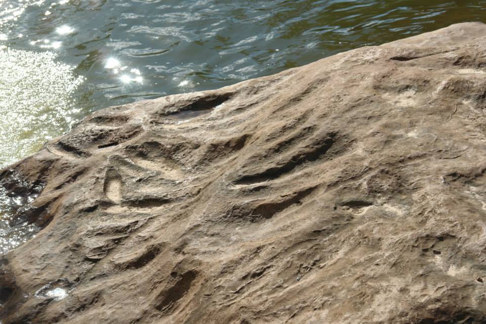 Foto Joaquim Cunha - oficina lítica - Cacoal.jpg