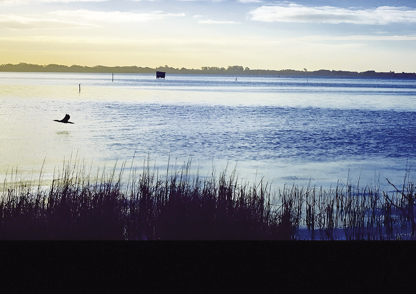 1741448591910_ms8sg5_2_0 - Renata Souza.jpg