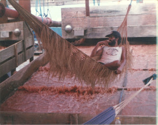 GAR. RIO MAD.PEÃO NA REDE ANO 1.jpg