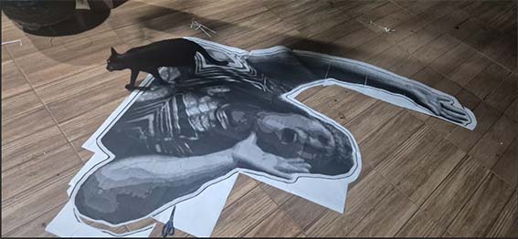 montagem_lambe-lambe (6).jpg