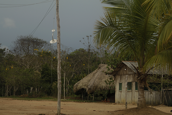 Elisabete Christofoletti (2019)_1.png