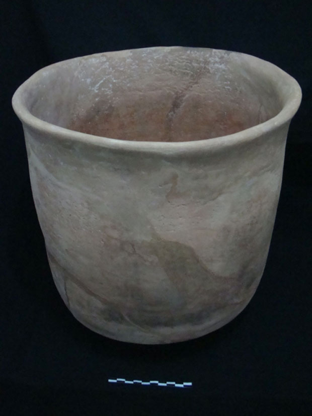 CCNM_foto_Décio (8).jpg