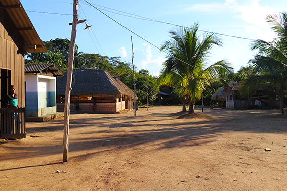 Nilson Santos (2018)_8.png