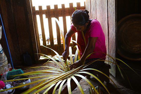 Nilson Santos (2018)_13.png