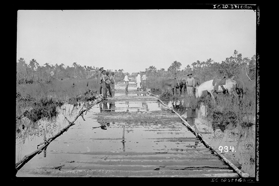 934 - Em_Trecho_Pantanoso,_na_Reta_do_Rio_Abunã,_É_Construído_uma_Estiva_de_Troncos_de_Palmeiras,_para_o_Trem_do_Lastro_-_,_Acervo_do_Museu_Paulista_da_USP.jpg