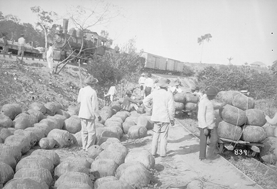839 - Pélas_de_Borracha_Aguardando_as_Composições_de_Carga_da_Ferrovia_Madeira-Mamoré_para_Serem_Transportadas_-_,_Acervo_do_Museu_Paulista_da_USP_(cropped).jpg