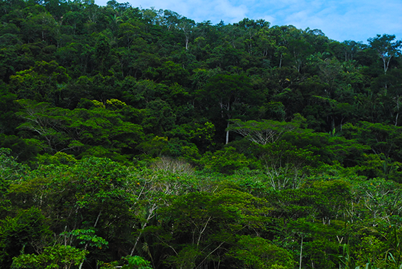 Elisabete Christofoletti (2019)_6.png