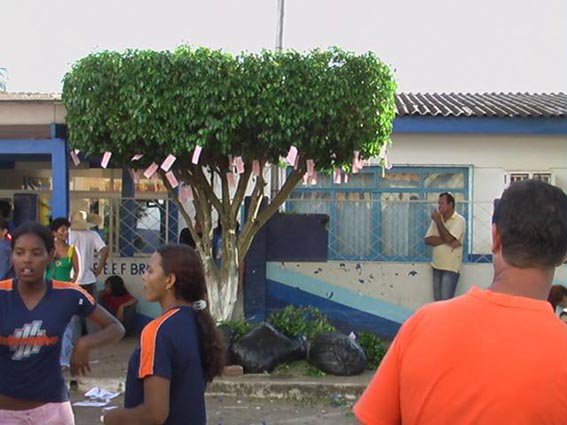 2005 - As Árvores do Dinheiro - Assembléia Legislativa de Rondônia (3).jpg