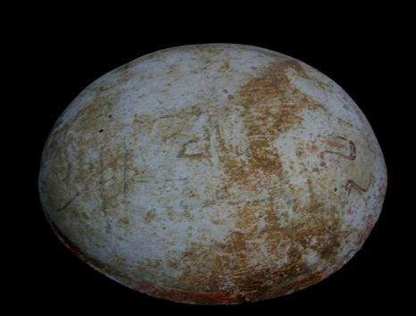 CCNM_foto_Décio (32).jpg