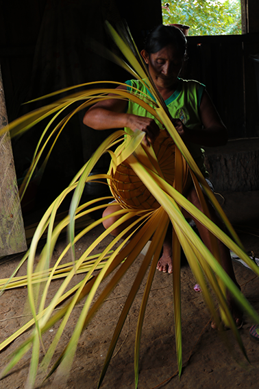 Nilson Santos (2018)_44.png