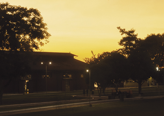 Varvounis Retrato PVH-8 - Gabriel Varvounis - Videomaker.jpg