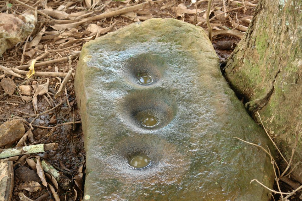 Foto Joaquim Cunha - Alta Floresta - RO.jpg