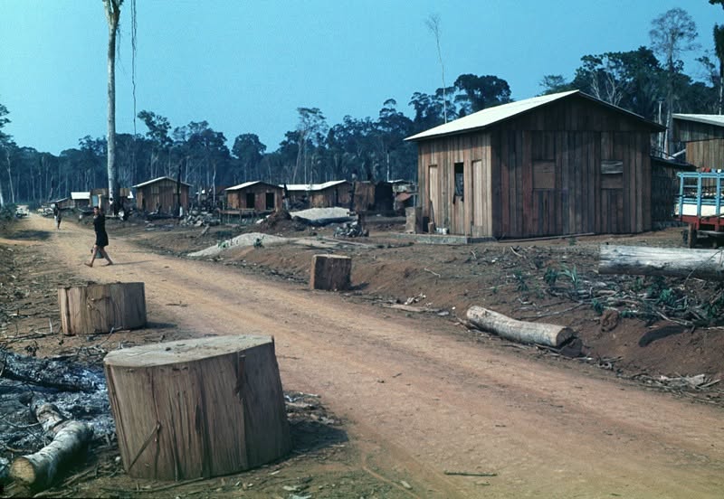 Ariquemes II nascendo em Rondônia. Fotografia de Marcos Santilli©1977.jpg