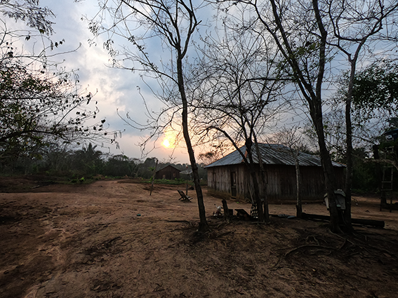 Elisabete Christofoletti (2019)_2.png