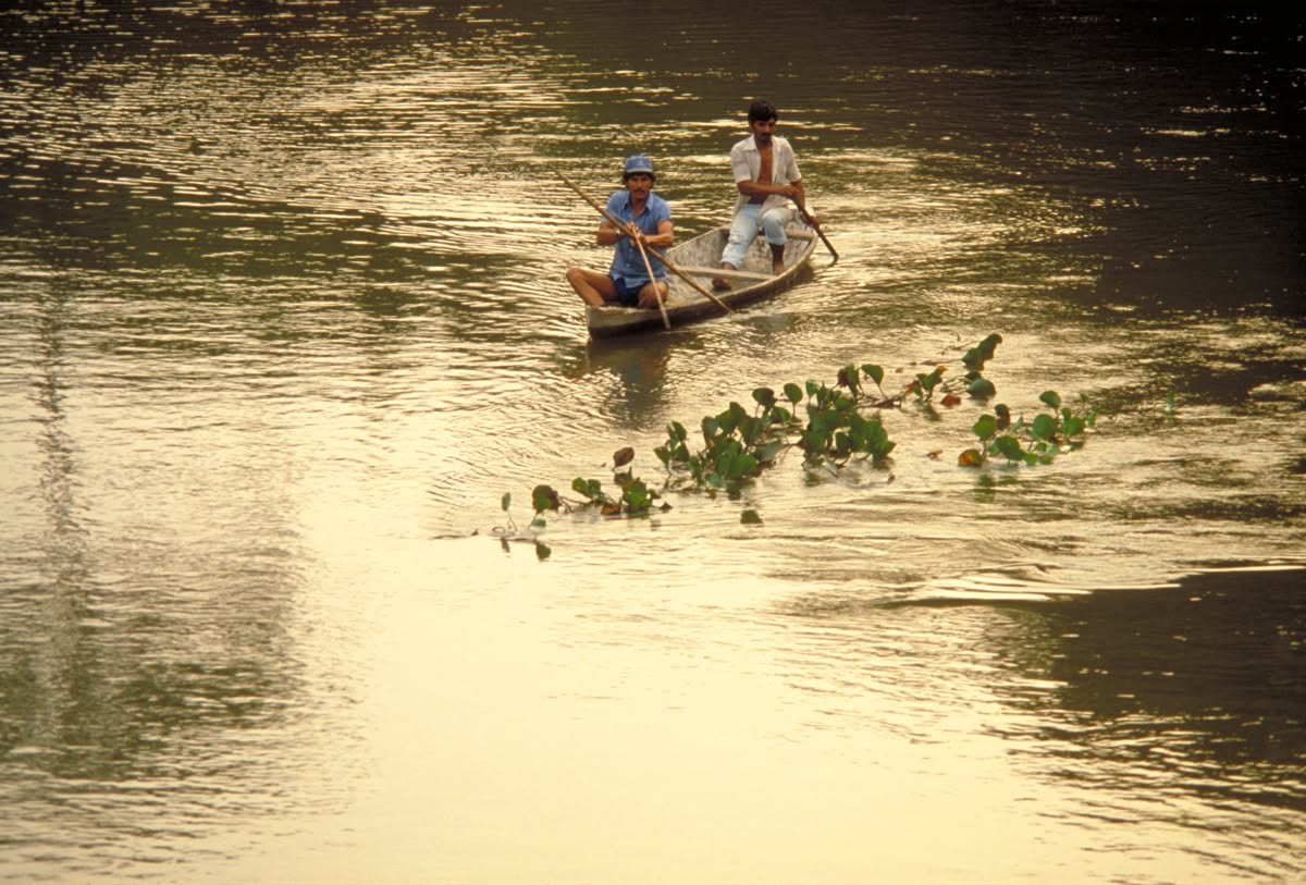 Seringueiros pescando da maneira indígena no igarapé Arara, Rondônia, 1978. Fotografia de Marcos Santilli©.jpg