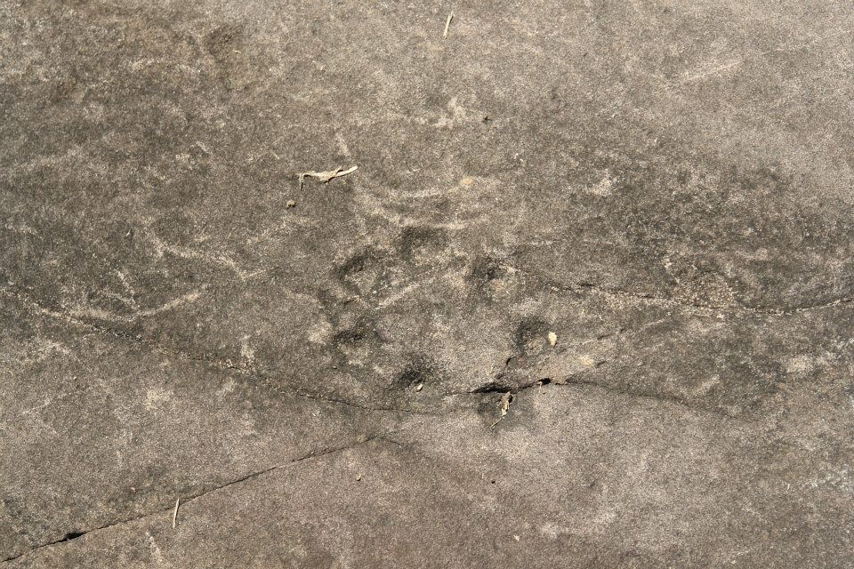 Foto Joaquim Cunha - petróglifos - Presidente Médice (20).jpg