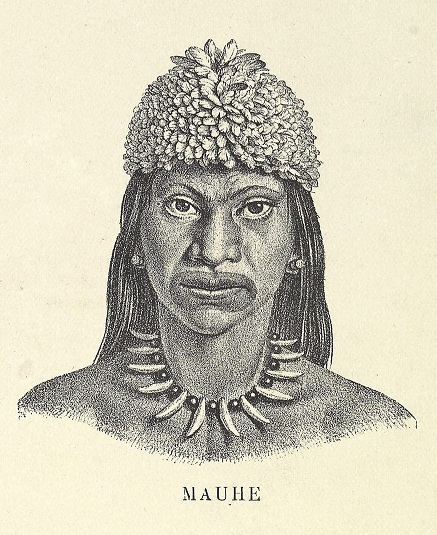 Indígenas (século XIX). Le Brésil, de Pierre-Emile Levasseur, 1899. Arquivo Nacional.jpg