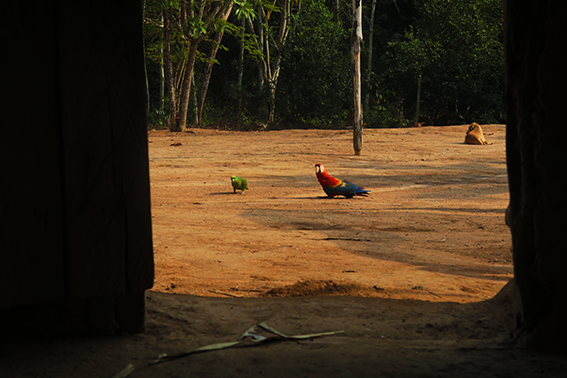 Elisabete Christofoletti (2019)_7.png