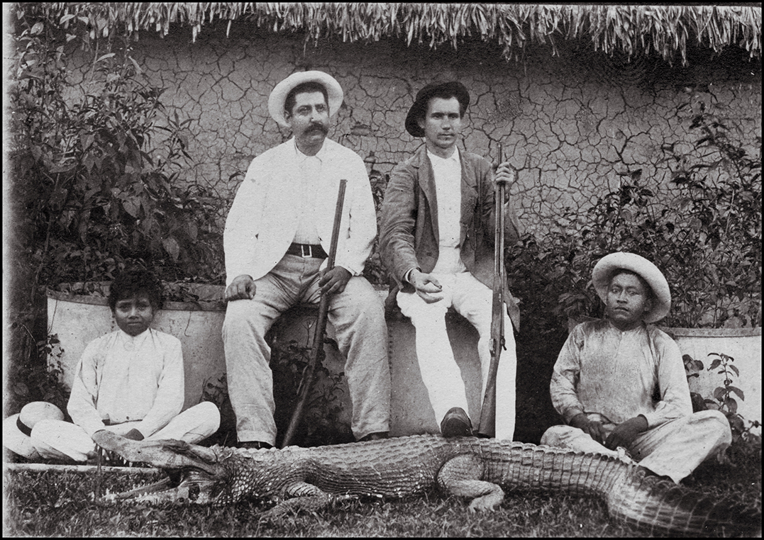 O jacaré _ Bauler_1908-1911.jpg