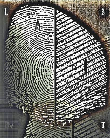 1997 - Marcas da Amazônia.jpg