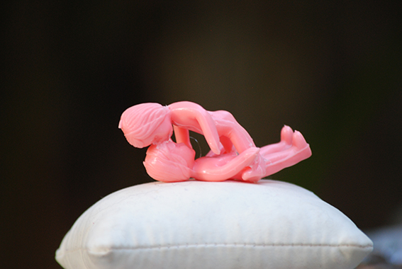 monoculos elisabete christofoletti (315).JPG