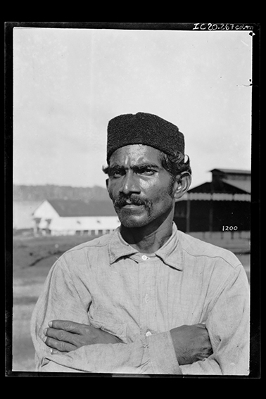 1200 - Trabalhador_Hindu_-_,_Acervo_do_Museu_Paulista_da_USP.jpg