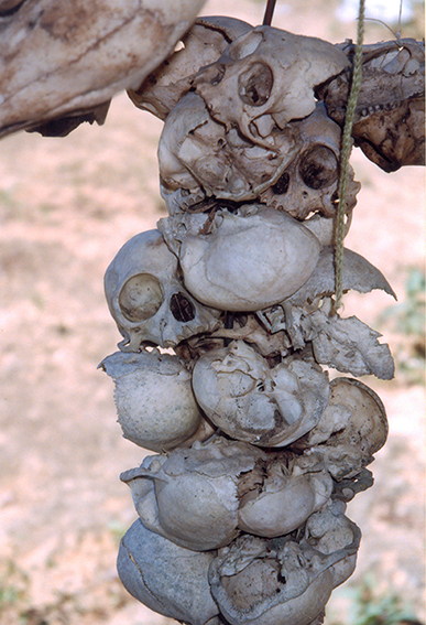 Nilson Santos (2004)_17.png