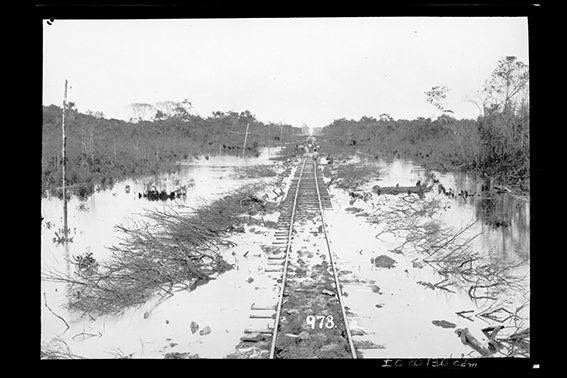 973 - Na_Época_da_Cheia_do_Rio_Madeira_Suas_Águas_Sobem_14_M._Acima_da_Taxa_Mínima_Pluviométrico_-_,_Acervo_do_Museu_Paulista_da_USP.jpg