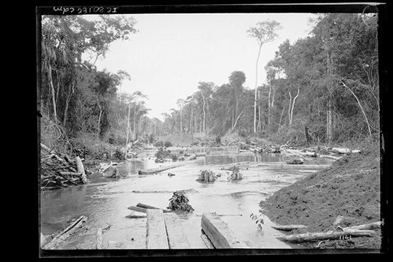 1141 - Inundação_ao_Longo_do_Traçado_da_Ferrovia_Madeira-Mamoré_no_Período_de_Cheia_do_Rio_Madeira_-_,_Acervo_do_Museu_Paulista_da_USP.jpg