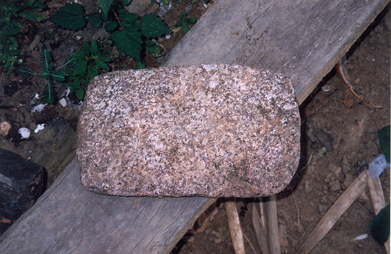 Nilson Santos (2004)_7.png