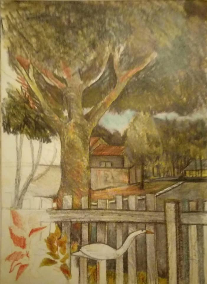 28685120_10214267764184638_3918894874320961536_n (1).jpg