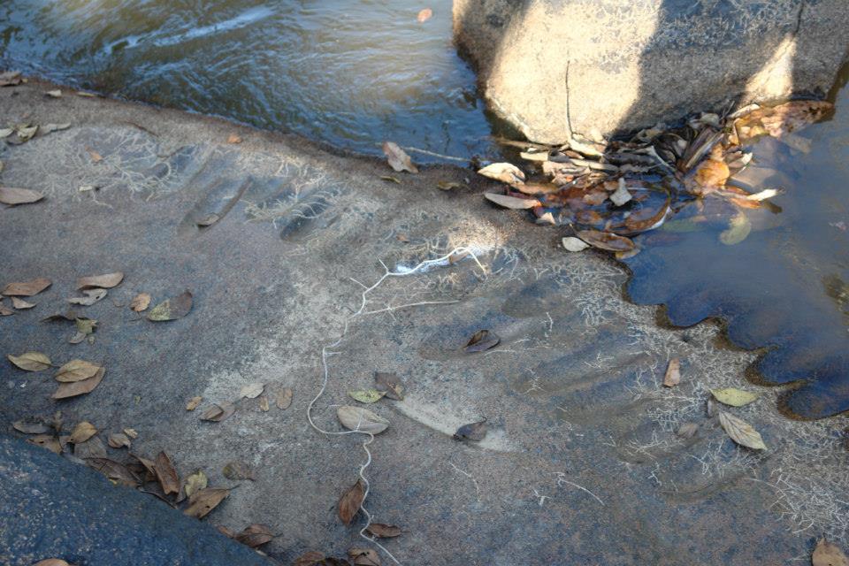 Foto Joaquim Cunha - oficina lítica - Rio Bambu3 - Sta Luzia do Oeste.jpg