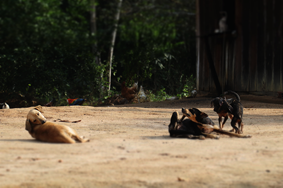 Nilson Santos (2018)_30.png